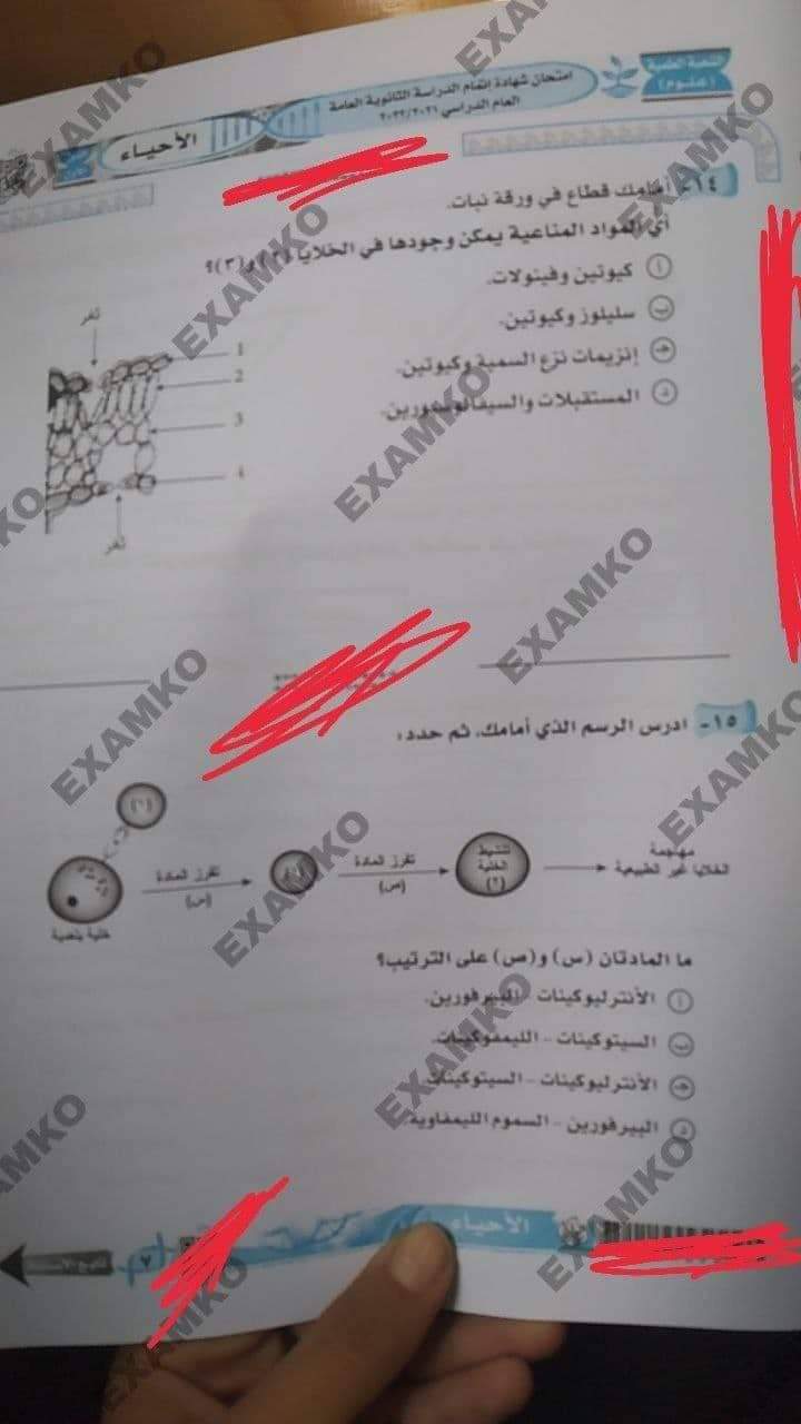 received_1776028032734288