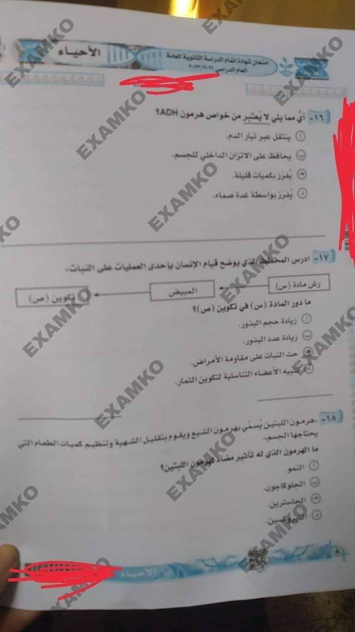 received_1022721728397938