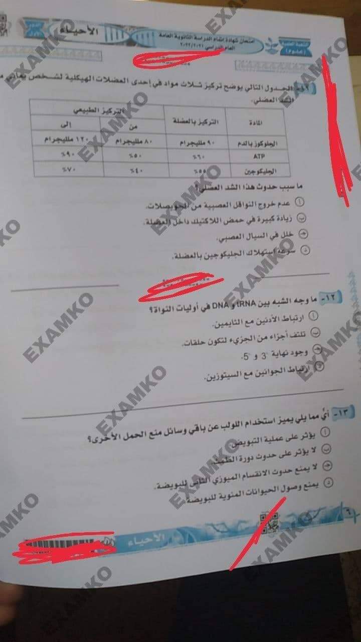 received_356355033358849