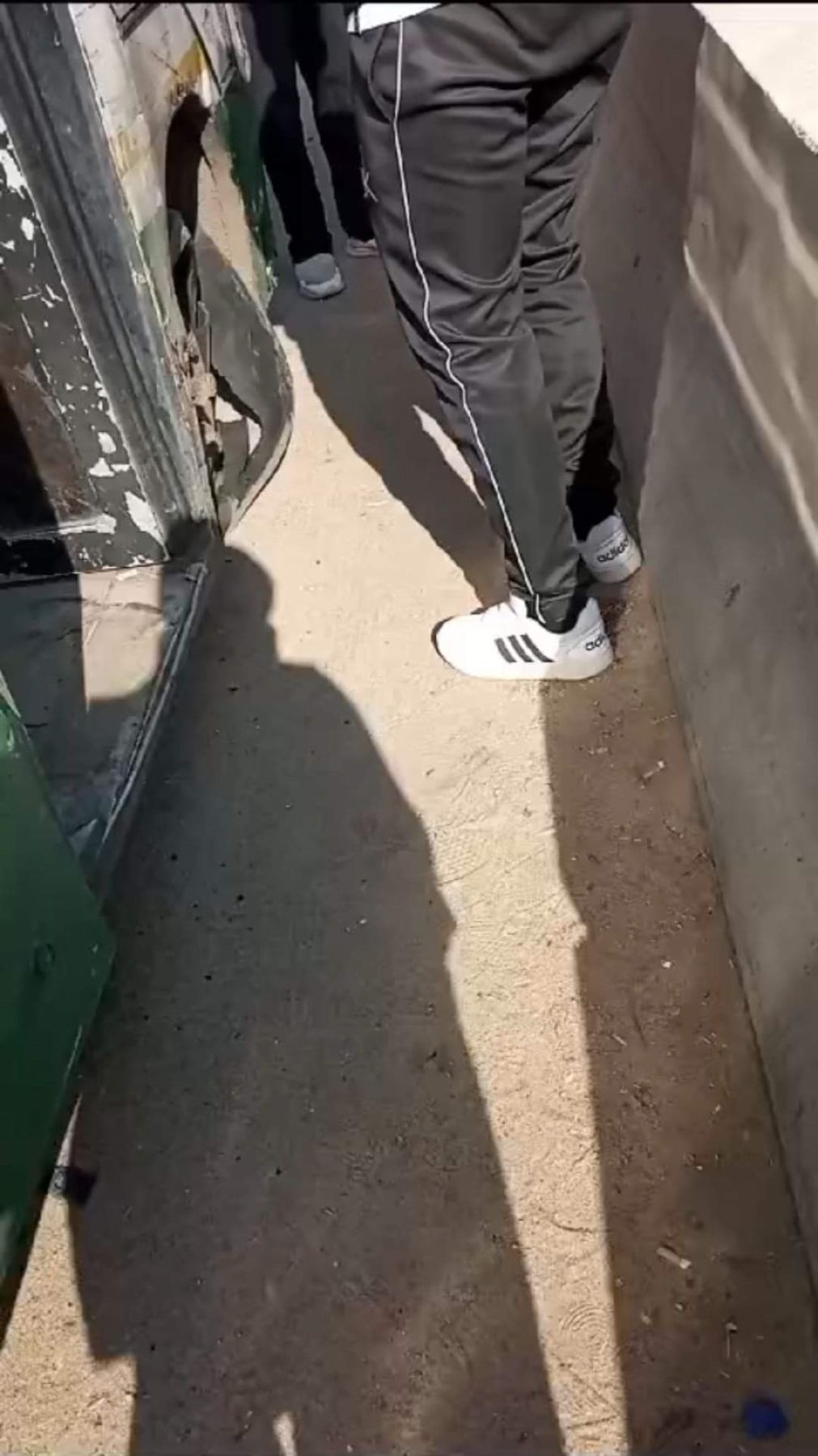 FB_IMG_1730816291876