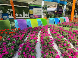 معرض الزهور بحديقة الاورمان