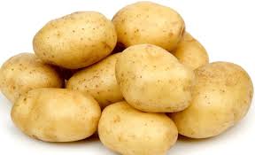 اسعار اليوم