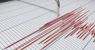 عاجل.. رئيس معهد الفلك: عمق زلزال اليوم كان كبيرًا.. ونتابع توابعه بدقة -  اليوم السابع