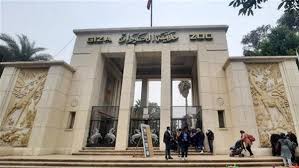 بعد تطويرها.. موعد افتتاح حديقة الحيوان بالجيزة وسعر التذكرة