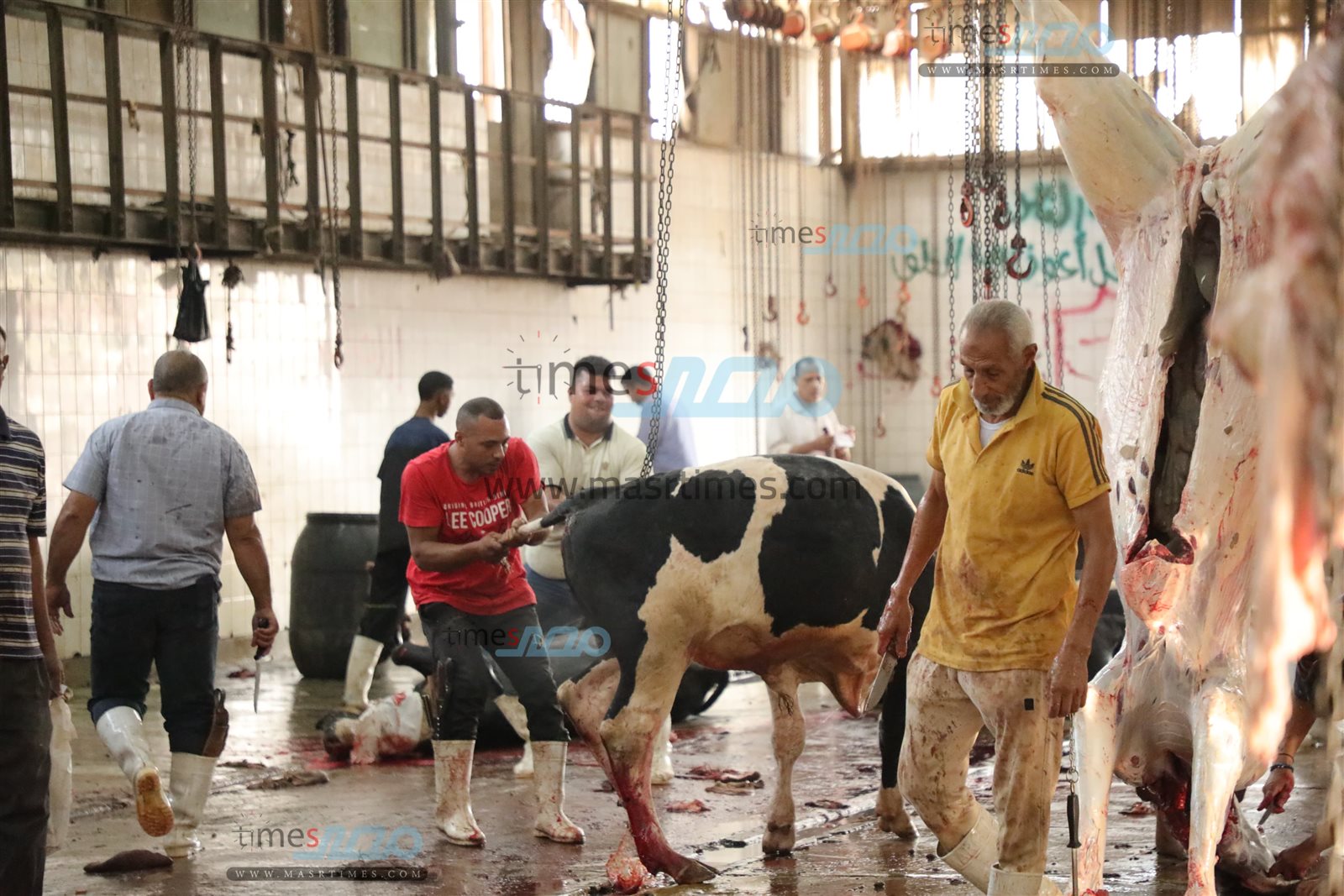 WhatsApp Image 2025-06-02 at 1.15.39 PM (1)