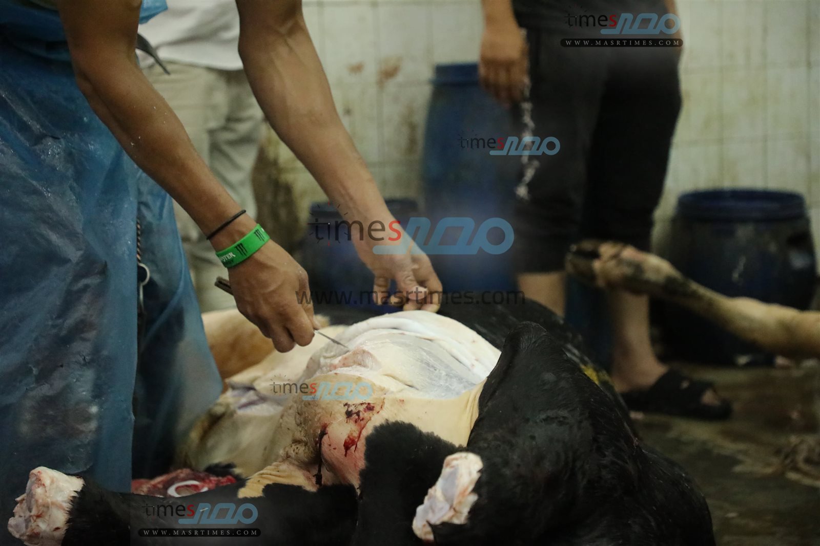 WhatsApp Image 2025-06-02 at 1.18.15 PM