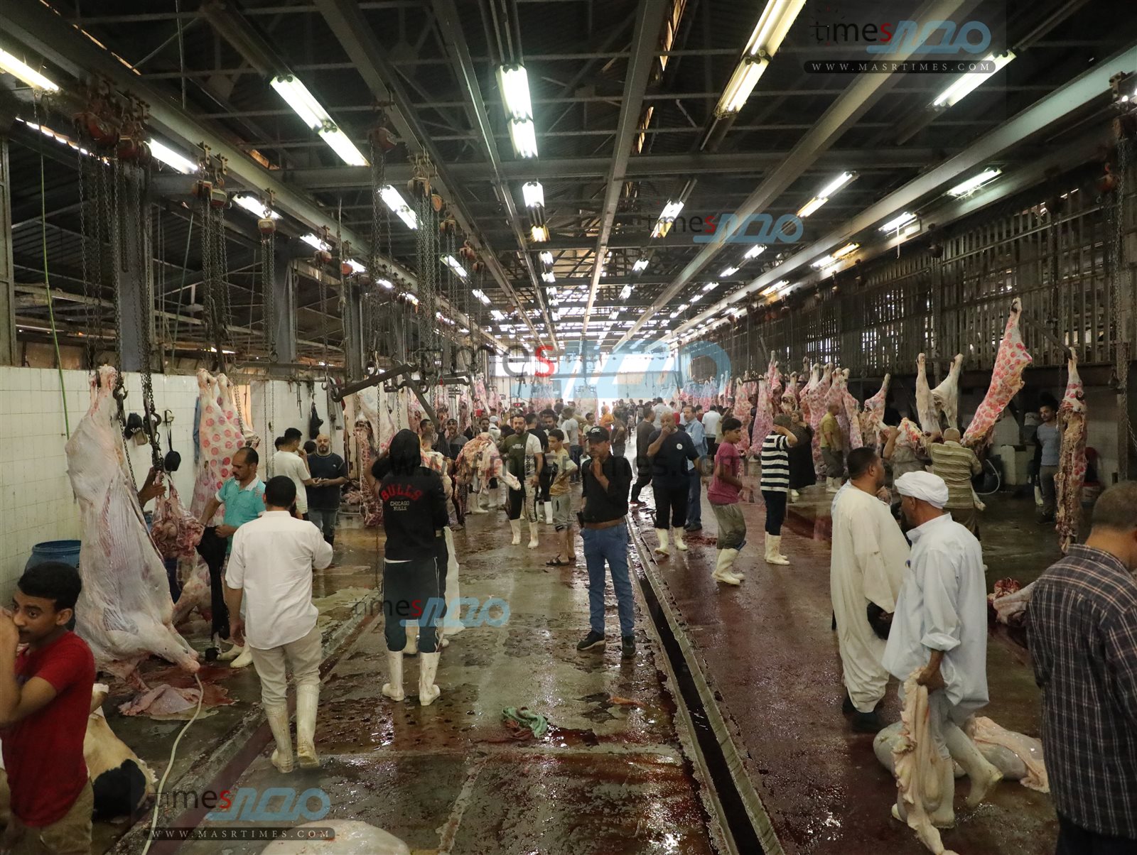 WhatsApp Image 2025-06-02 at 1.20.02 PM