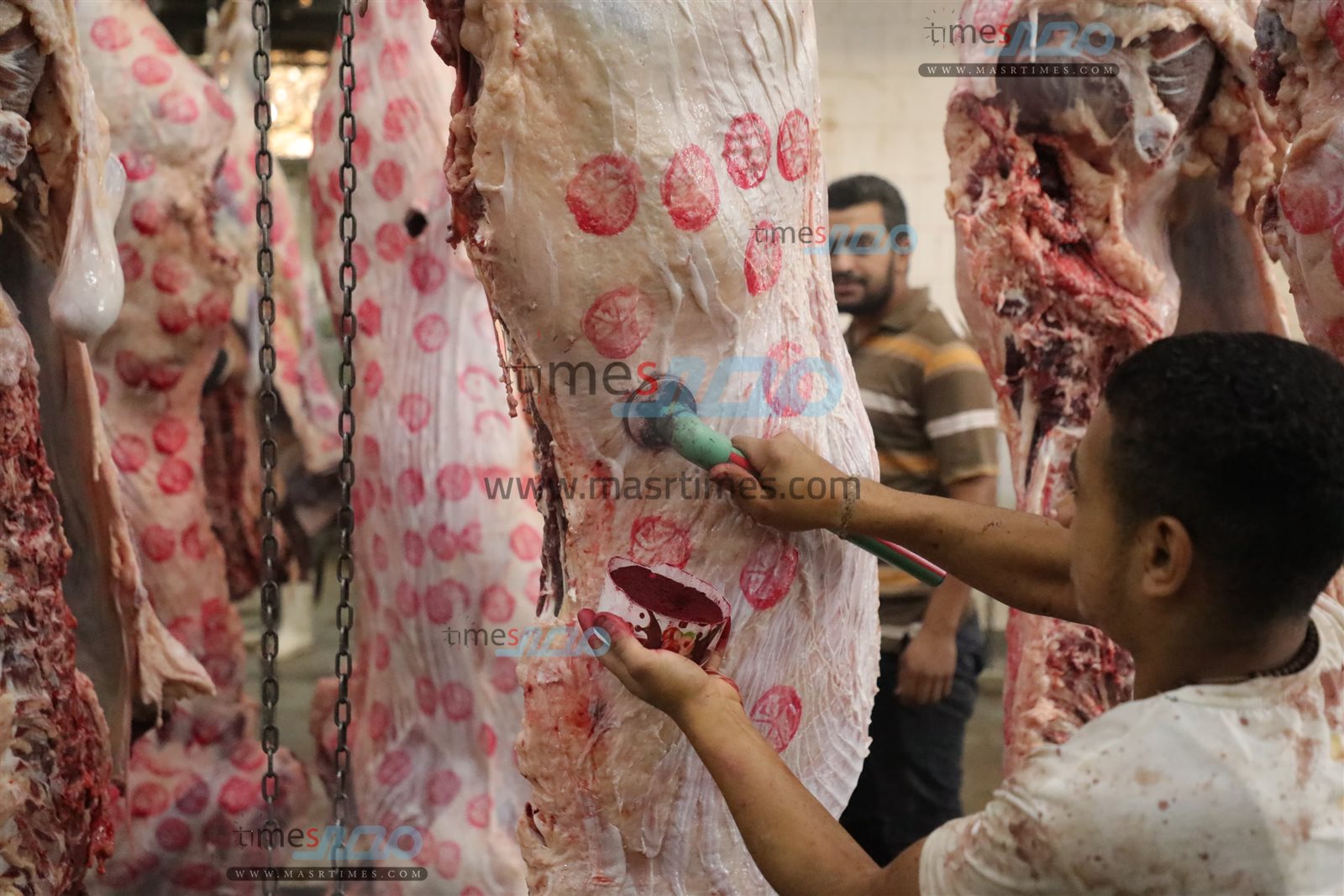 WhatsApp Image 2025-06-02 at 1.20.35 PM