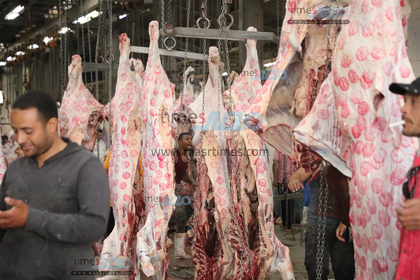 WhatsApp Image 2025-06-02 at 1.20.39 PM