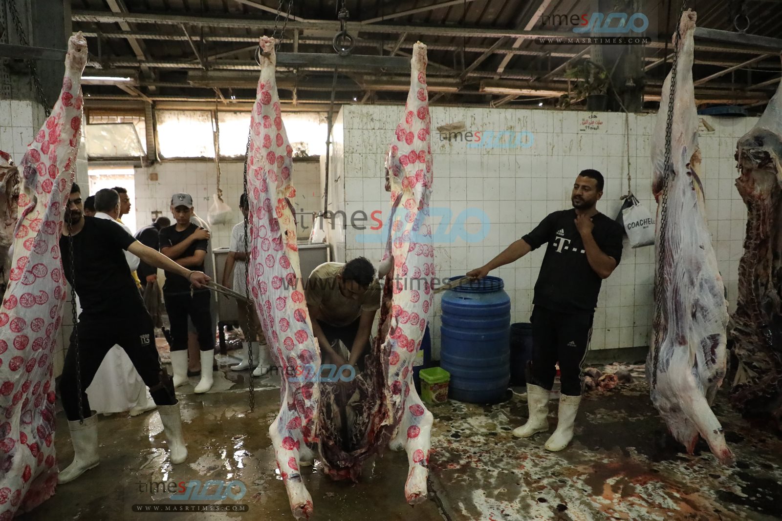 WhatsApp Image 2025-06-02 at 1.20.56 PM