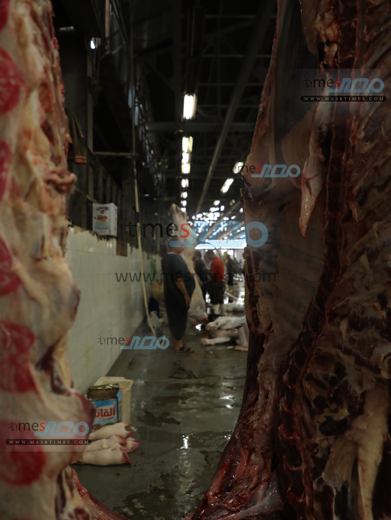 WhatsApp Image 2025-06-02 at 1.21.04 PM