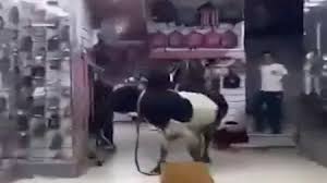 فيديوهات العجول الهربانة 2025.. عجل يقتحم محل أحذية في الإسكندرية | مصراوى