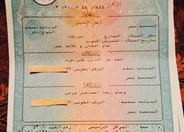 هتجيلك مكانك.. كيفية استخراج شهادة ميلاد «أون لاين» - الأسبوع