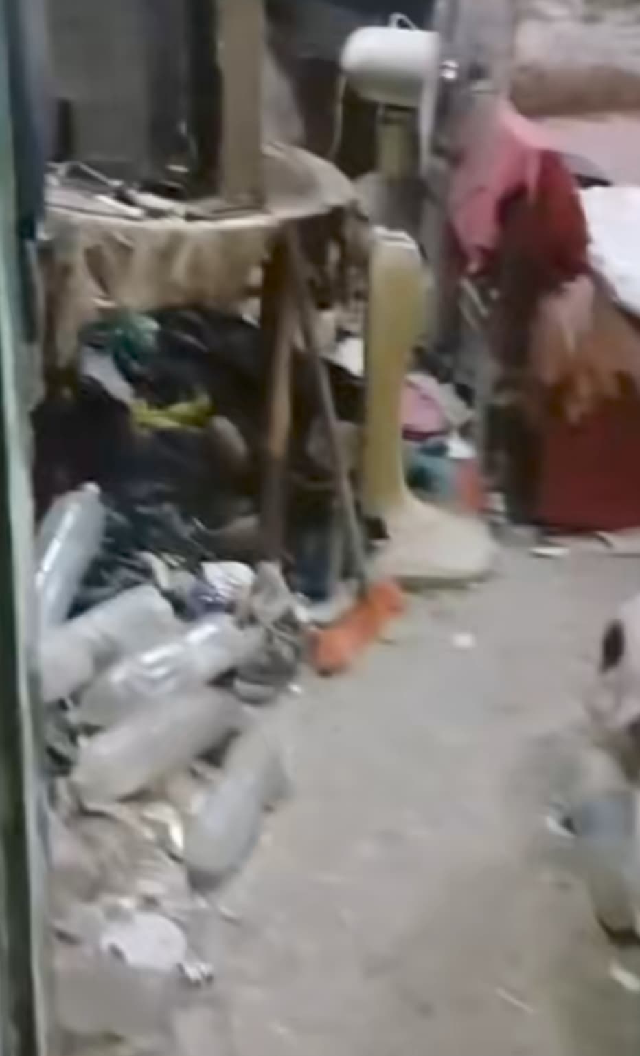 بيت الرعب (7)