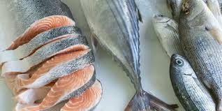 الدينيس والهامور».. أفضل أنواع السمك في الإسكندرية - بوابة الطبيب البيطري