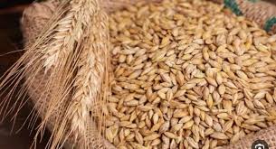 سعر الأرز الشعير اليوم الأحد 10 أغسطس 2025 في الأسواق - الأسبوع