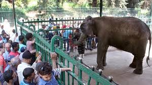 هل تصبح تذكرة حديقة الحيوان 400 جنيه؟ وزير الزراعة يحسم الجدل ويكشف موعد  الافتتاح