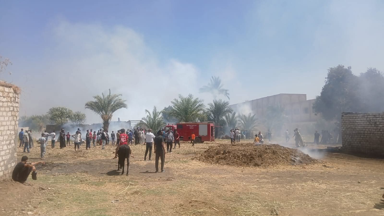 WhatsApp Image 2025-08-27 at 1.42.07 PM