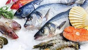 أغلى أنواع السمك في العالم.. سعر الكيلو يتخطى 400 ألف دولار - الوطن