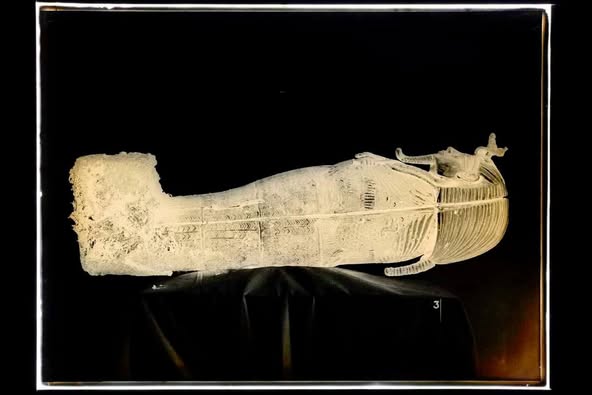 الملك توخ عن آمون  (7)