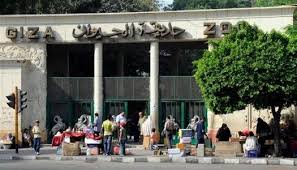 وزير الزراعة: تطوير حديقة الحيوان بالجيزة يتم على مراحل بالتعاون مع شركة  عالمية - الوطن