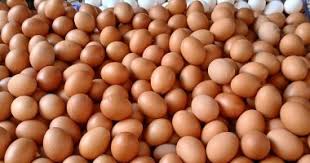 انخفاض سعر البيض بكفر الشيخ اليوم السبت 8 نوفمبر 2025.. 30 بيضة بـ120 جنيها  - اليوم السابع