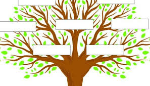 هل يمكن الوصول إلى شجرة العائلة بدار المحفوظات؟.. السر في سنة 1961 - الوطن