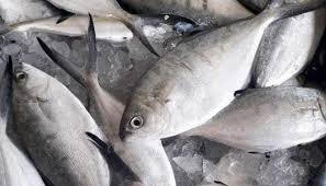 العين بتلمع والخياشيم وردية.. علامات للتأكد من سلامة السمك قبل شرائه - الوطن