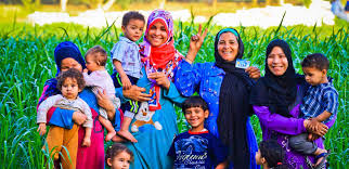 قصر دعم تكافل وكرامة علي طفلين وتفعيل شروط جديدة الشهر المقبل - جريدة المال