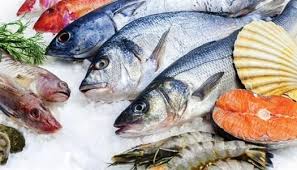 أغلى أنواع السمك في العالم.. سعر الكيلو يتخطى 400 ألف دولار - الوطن