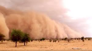 تحذيرات من رياح الخماسين.. مصر تتحضر للمنخفض الجوي الصحراوي - المشهد