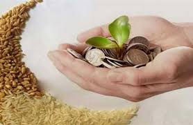 دار الإفتاء تحدد قيمة زكاة الفطر لعام 1447هـ / 2026 - بوابة الأهرام