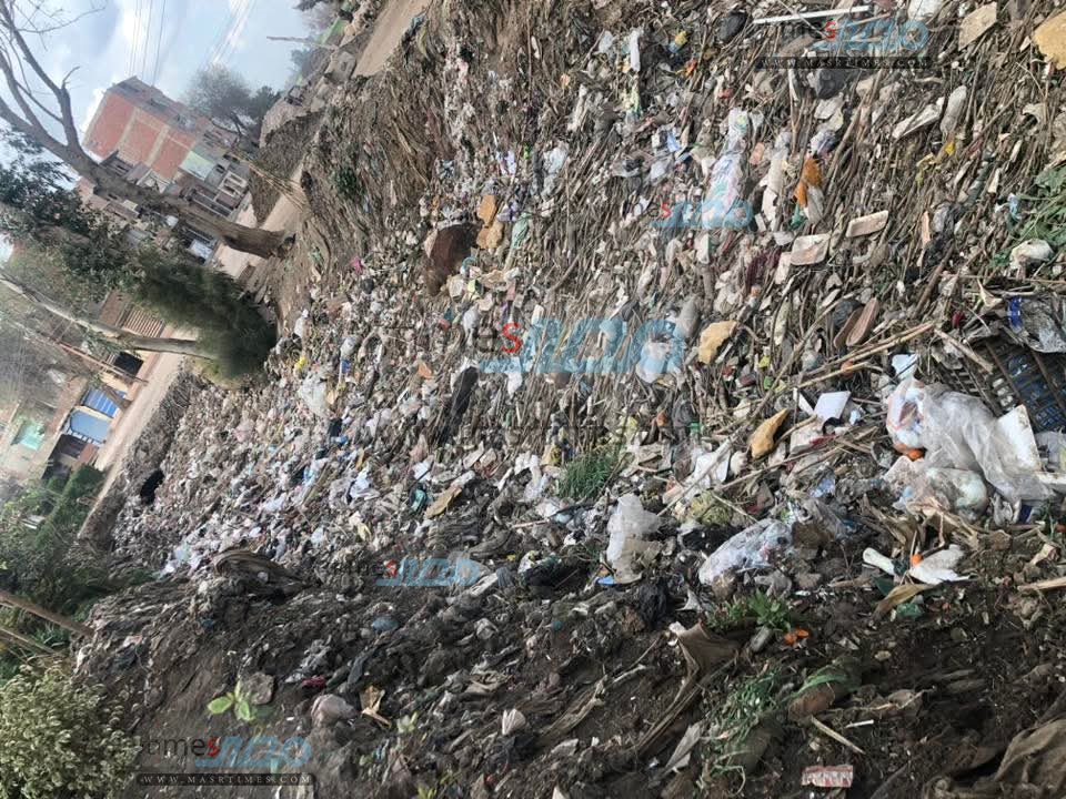 FB_IMG_1772091388161