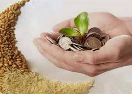 قيمة زكاة الفطر 2026 في مصر.. هل يجوز دفعها نقدًا وما هو الحد الأدنى؟ |  المصري اليوم