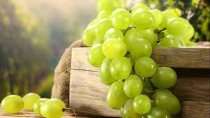 تفسير رؤية العنب في المنام.. الرزق والخير الكثير ولكن احذر النبيذ