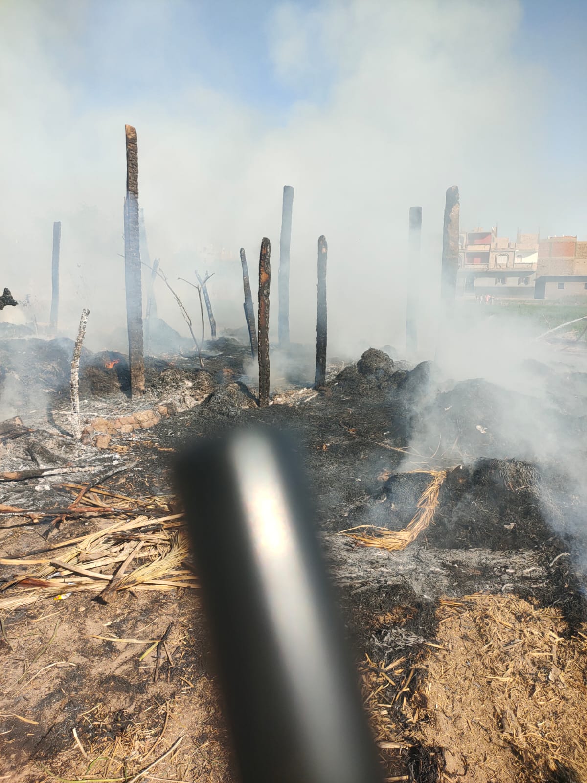 WhatsApp Image 2026-03-27 at 5.01.41 PM