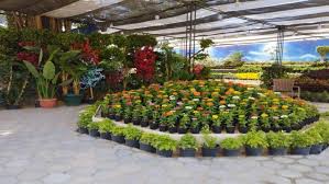 موعد افتتاح معرض الزهور 2026 الرسمي.. كيف تصل إليه؟ - الوطن