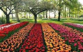 معرض الزهور 2025 .. انطلاق النسخة الـ92 بالشراكة مع منظمة "الفاو"