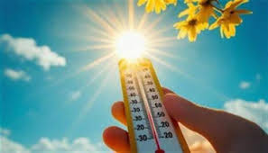 أول موجة حارة.. «الأرصاد» تحذر من طقس الأيام المقبل وذروة ارتفاع درجات  الحرارة| عاجل - الوطن