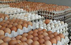 110 جنيهات لـ كرتونة البيض.. تعرف على أسعار البيض للجملة والمستهلك