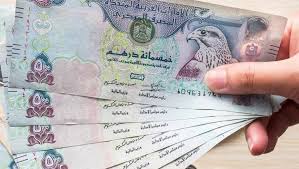 سعر الدرهم الإماراتي مقابل الجنيه المصري في البنوك | قناة صدى البلد