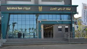التفاصيل الكاملة لمبادرة البنك الزراعي المصري لتسوية ديون المتعثرين - الوطن