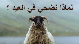‫لماذا نضحي في العيد ؟ - YouTube‬‎