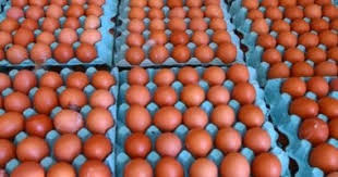 طرح كميات كبيرة من البيض والدواجن بالأسواق.. صور - اليوم السابع