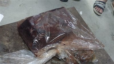 لحوم فاسدة ارشيفية 