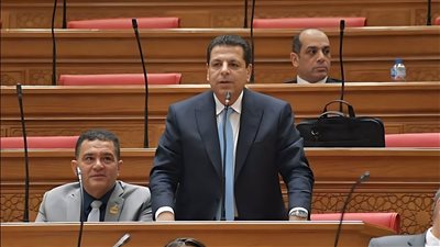 النائب محمود سامي الإمام