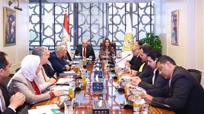 الدكتورة منال عوض وزيرة التنمية المحلية والبيئة