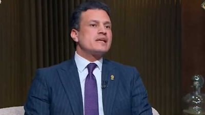  الدكتور أسامة الحديدي    