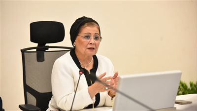 الدكتورة عبلة الألفي، نائب وزير الصحة والسكان 