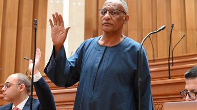  النائب مدحت ركابي المنصوراوي